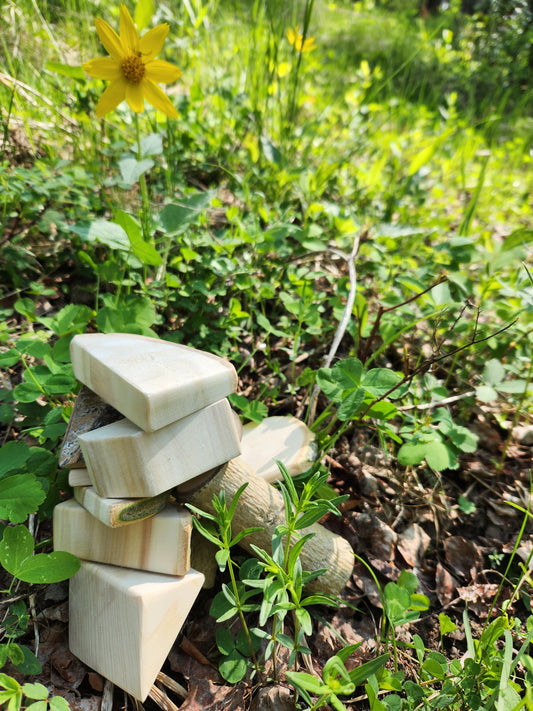 Coming Soon - How Did the Forest Room Get Started?