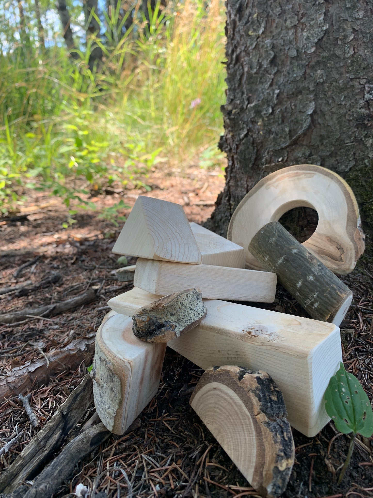 Wooden Playing Blocks