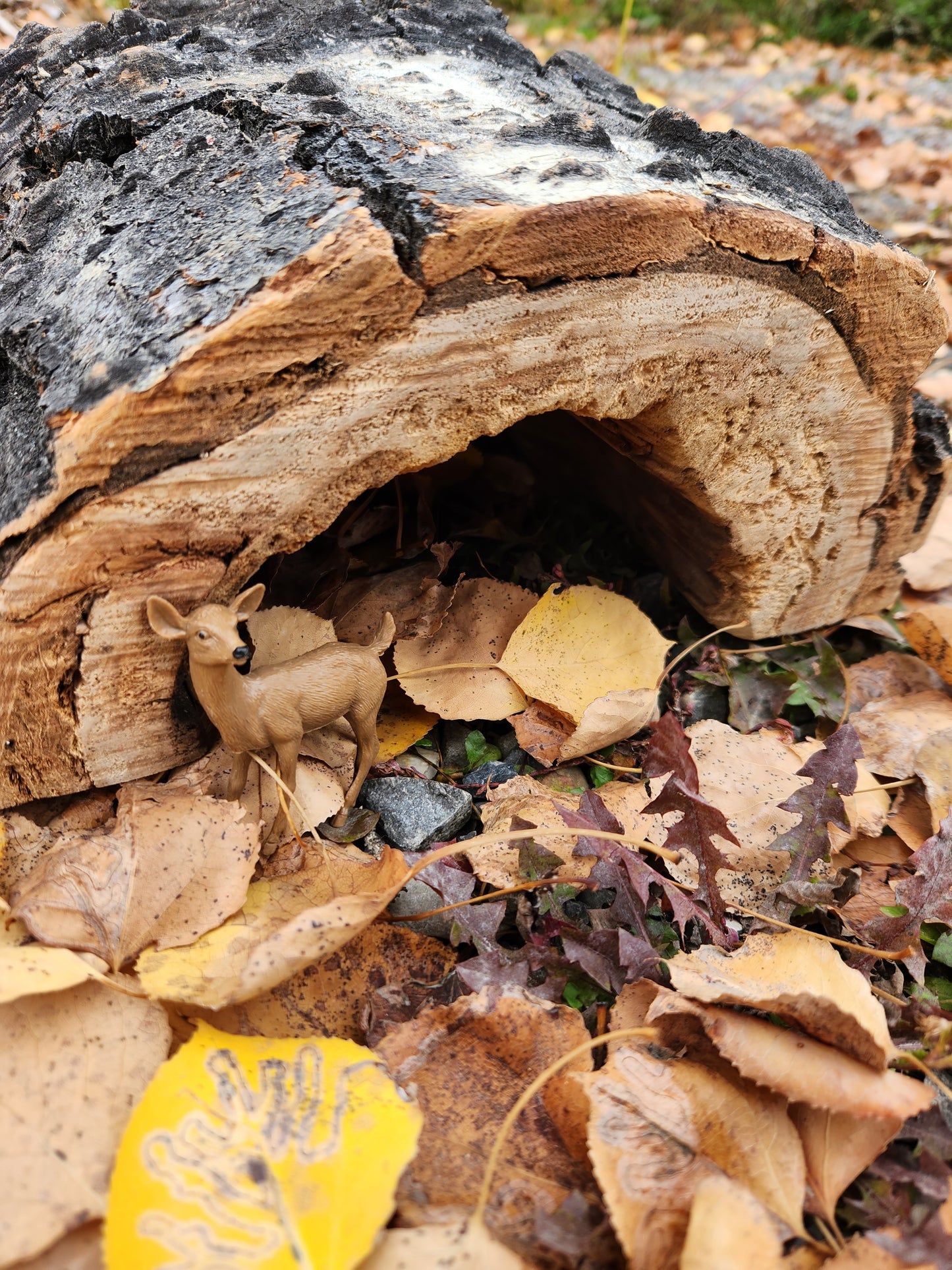 Wooden Small World Cave, Built from a Natural Log