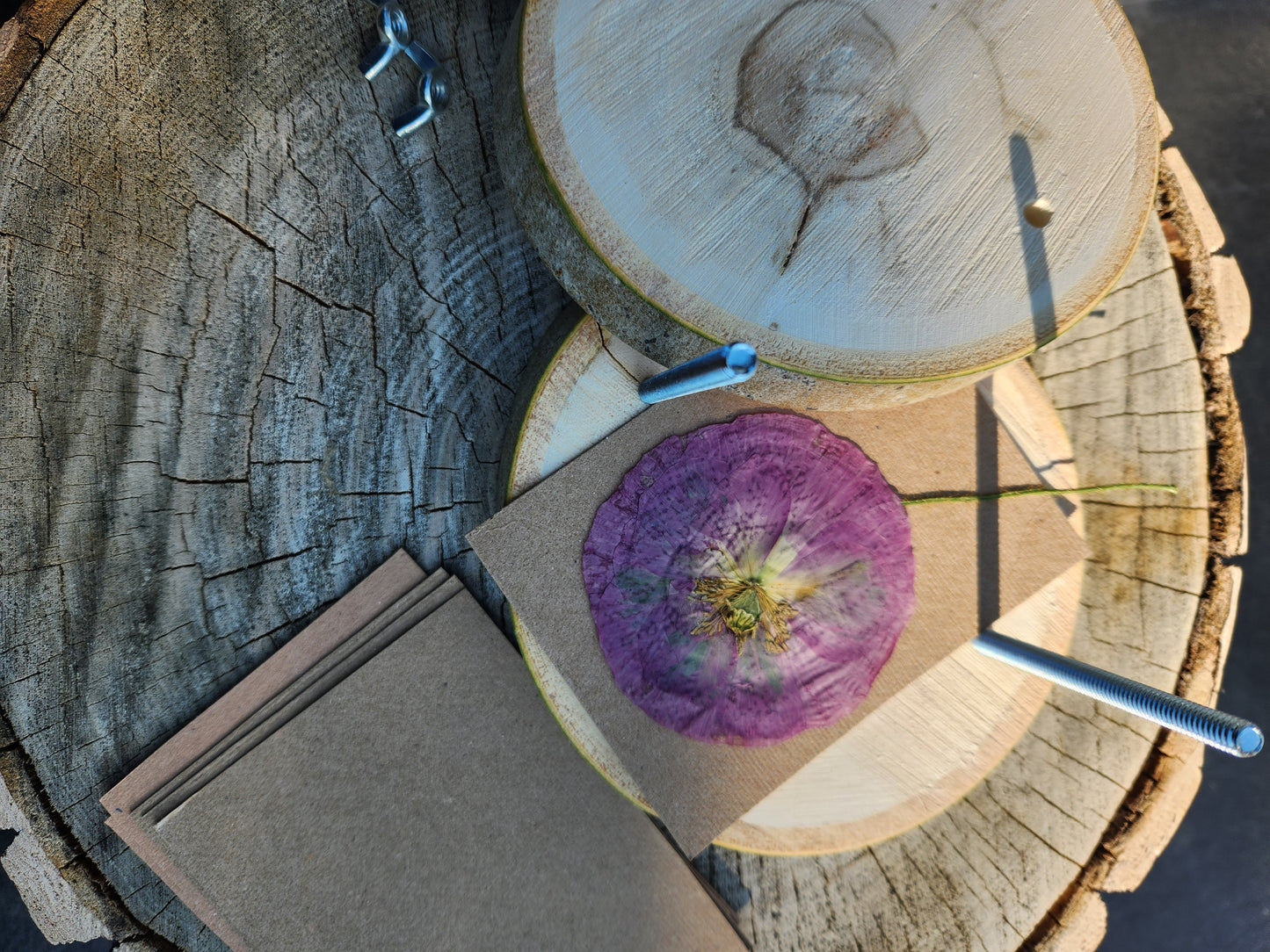 flower press for dried flowers, flower preservation, floral art