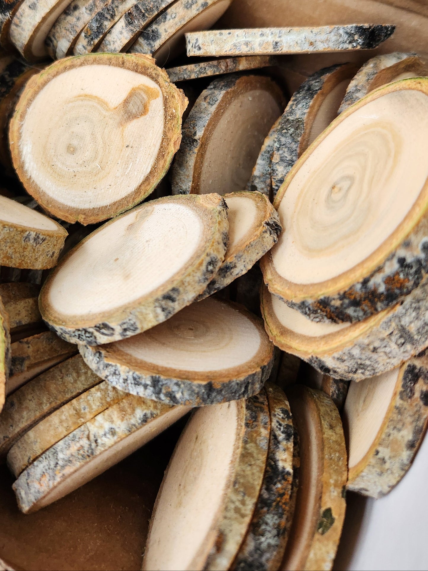 Wood Cookies/Rounds