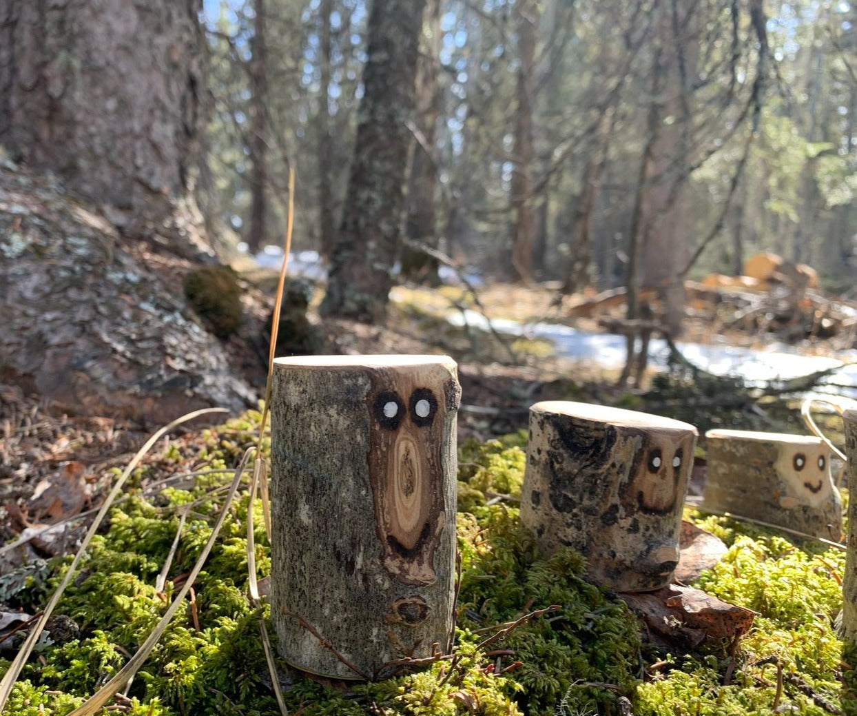Forest Friends
