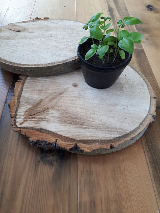 Centerpiece, Table Display, Large Wood Rounds
