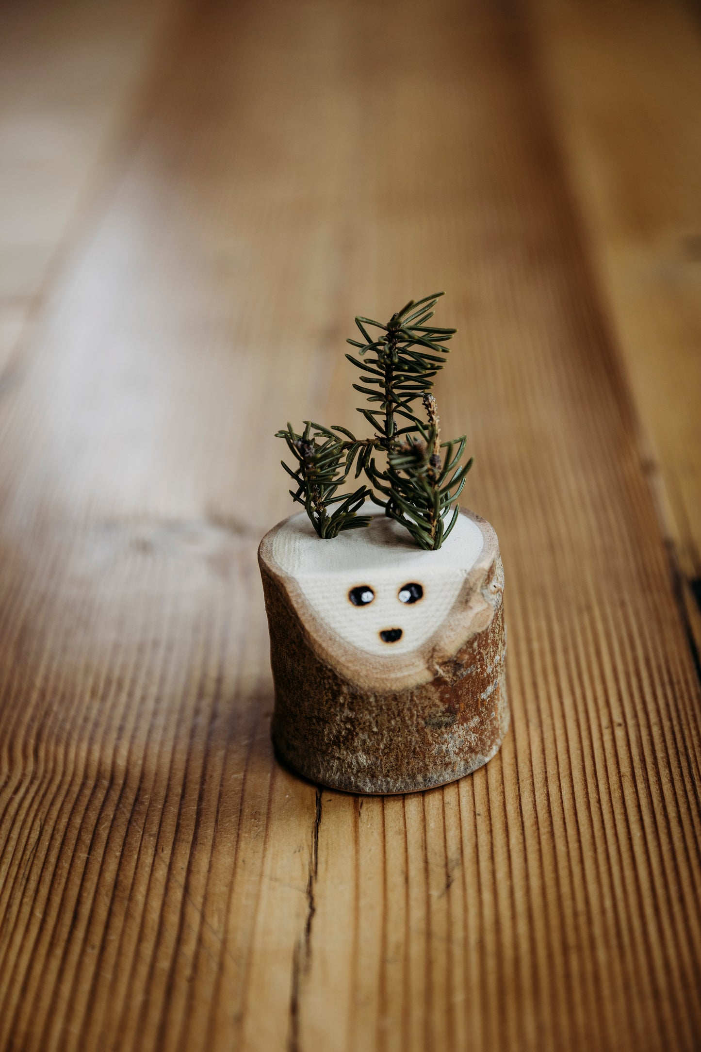Forest Friends