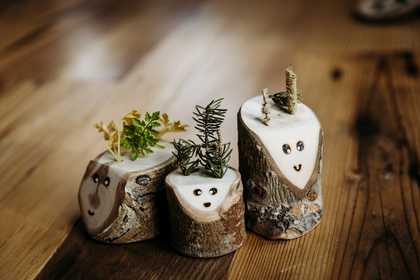 Forest Friends