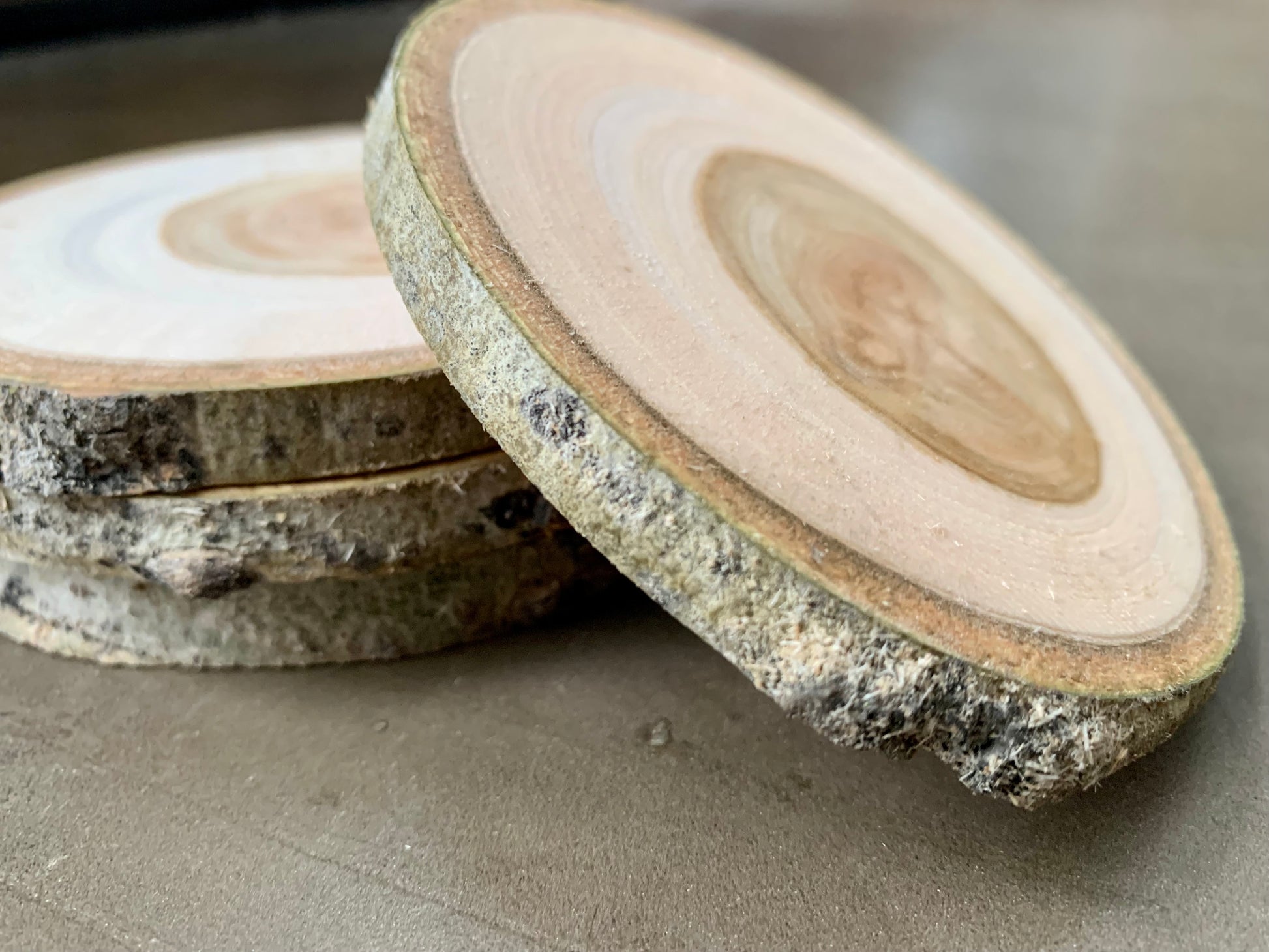 Wood cookie, wood rounds, wood slice, tree slice, tree cookie