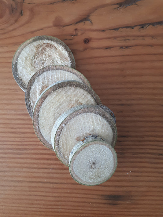 Small Wood Rounds, Set of 25