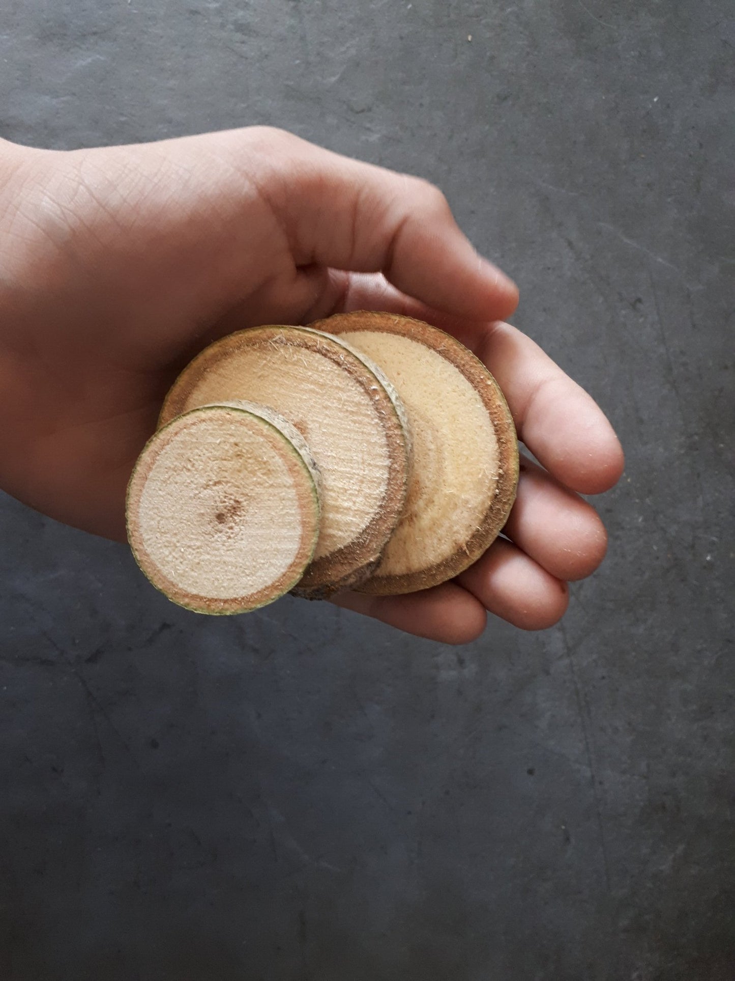 Small Wood Rounds, Set of 25