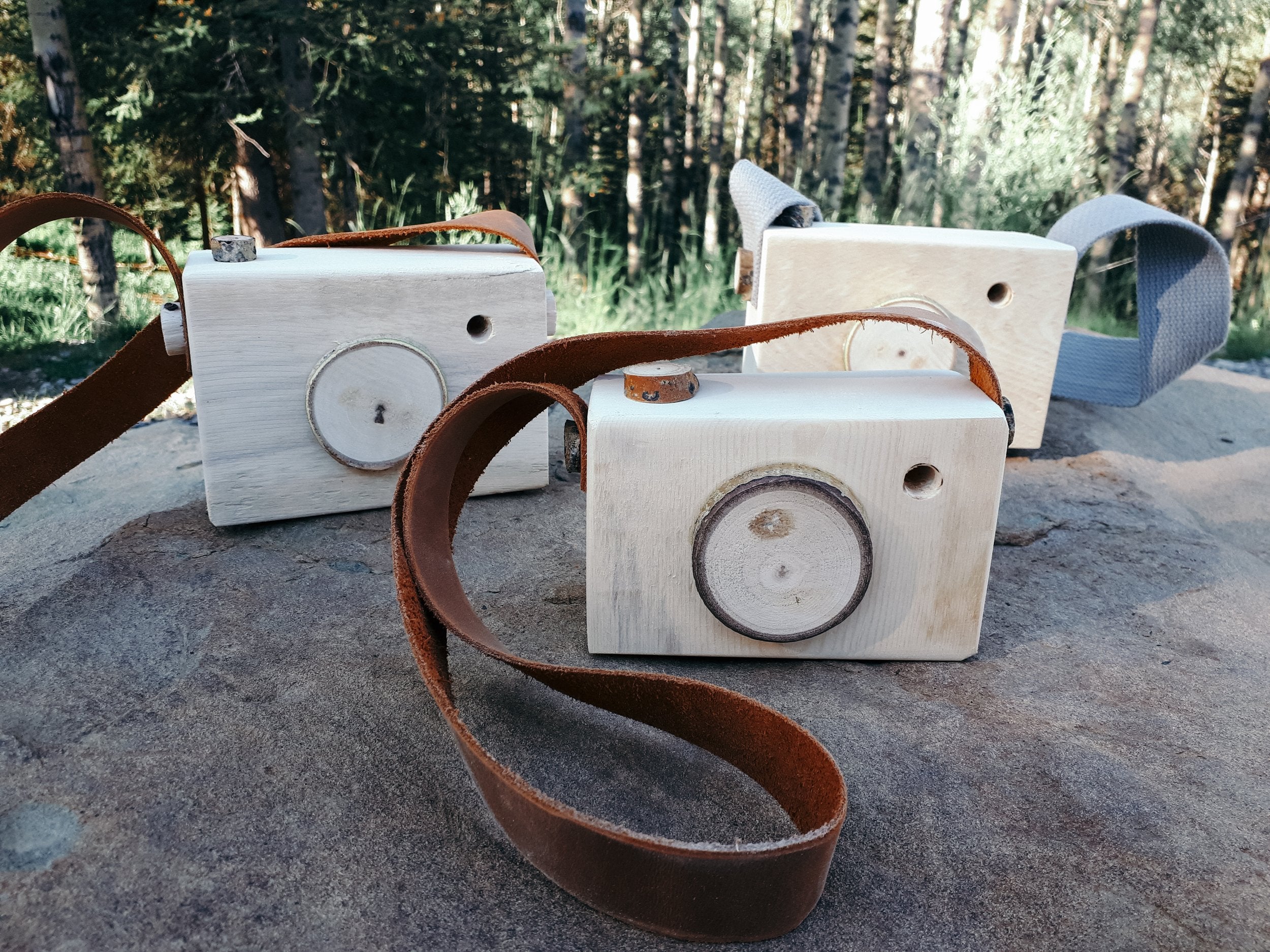 My First Camera – The Forest Room