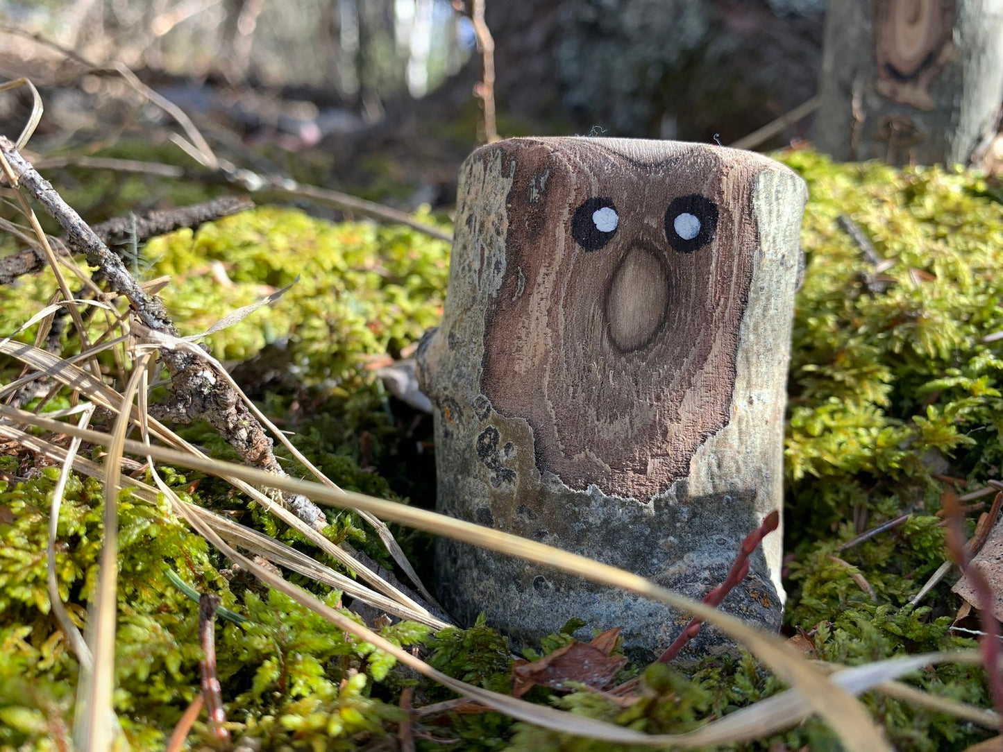 Forest Friends